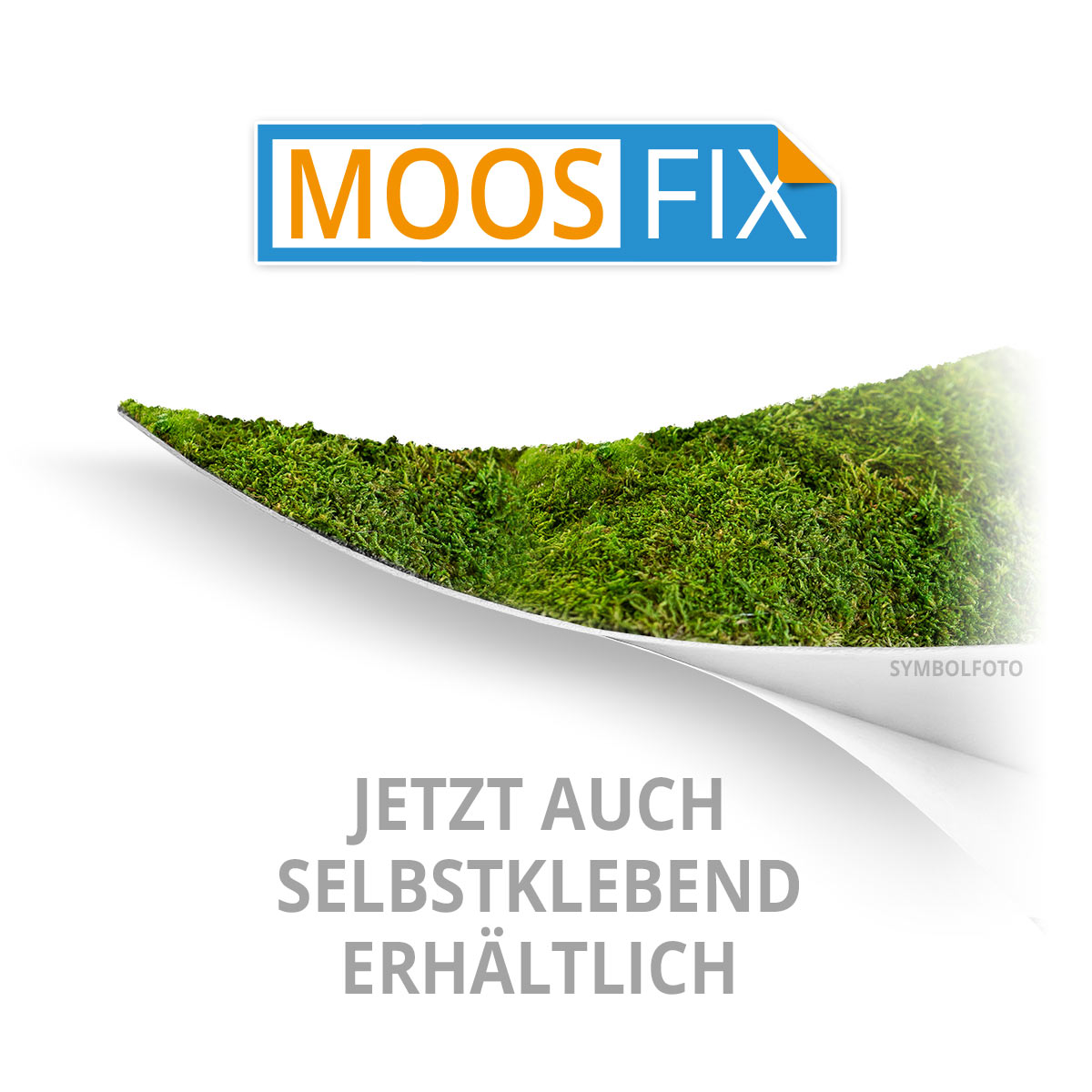 Islandmoos Logos / Schriften - Zirbe - mit Rahmen